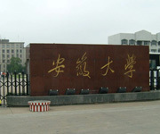 մW2011ھӋ