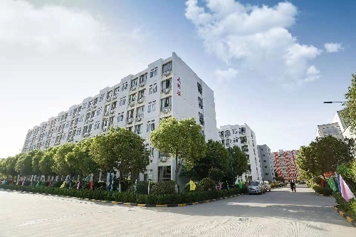 合肥當高貿易技工學校